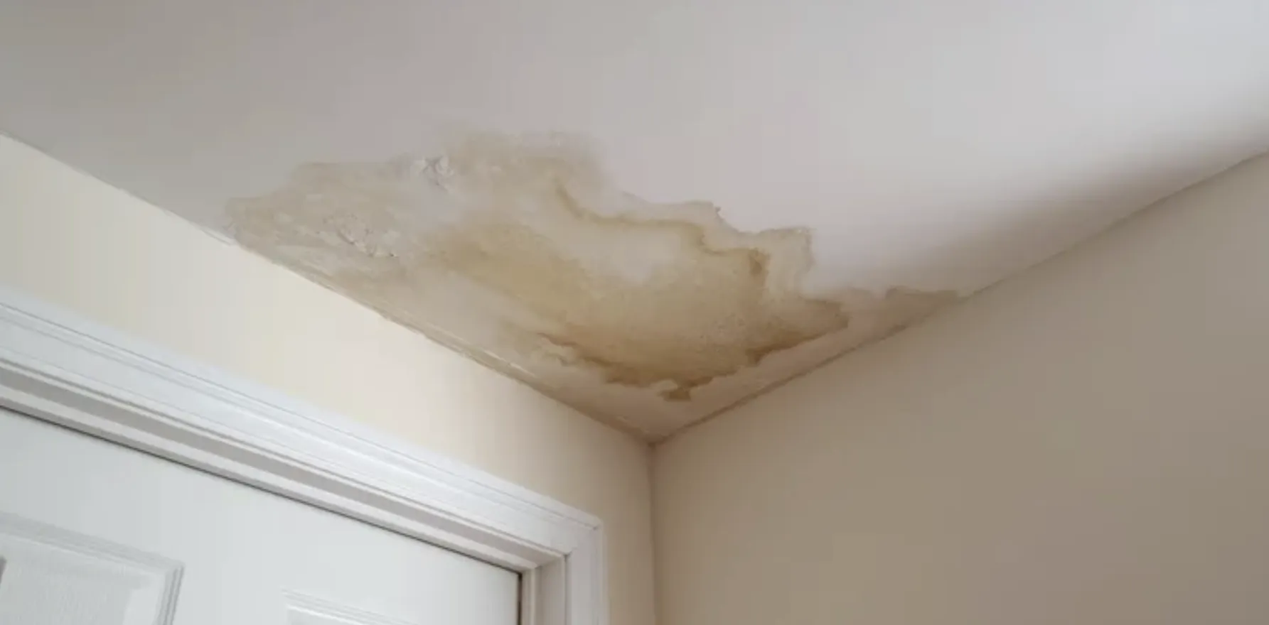 Wasserflecken und Schimmel an der Ecke einer weißen Decke über einer Tür.
